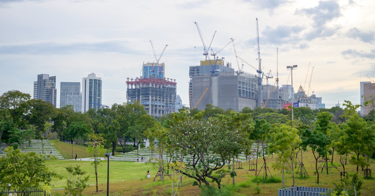 urban parks and green spaces